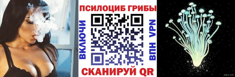 Галлюциногенные грибы Magic Shrooms  купить наркотик  Себеж 